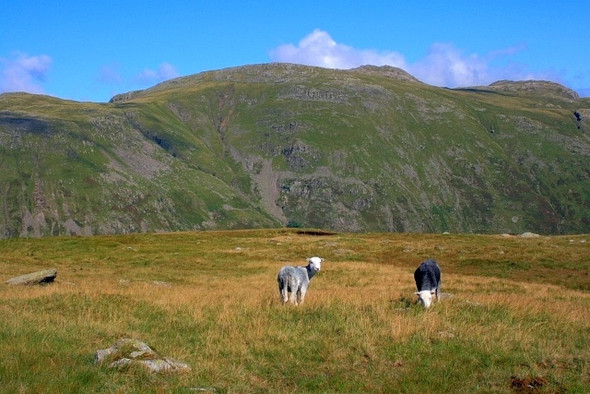 Photo 6"x4" On Mansey Pike Black Crags\/NY2508 c2008