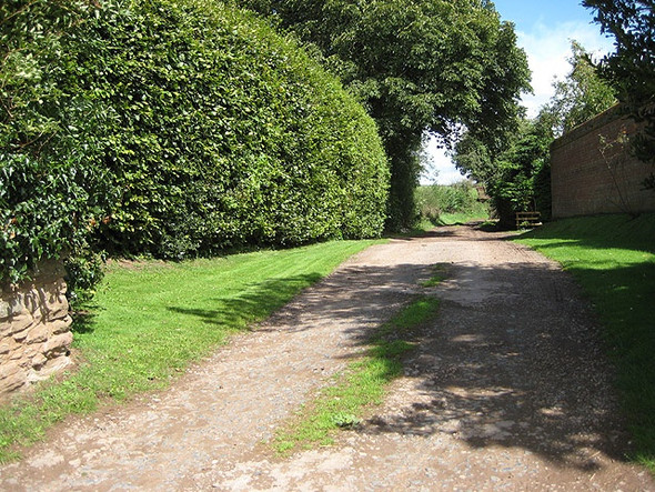 Photo 6"x4" Footpath to How Caple Fawley Chapel c2008