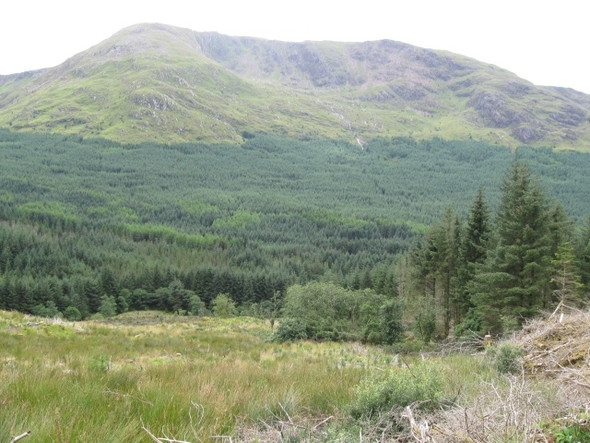 Photo 6"x4" Edge of track, dense forestry with Coire Dubh below Fraochaidh beyond Achadh nan Darach c2008