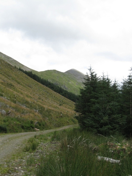 Photo 6"x4" Forest track beneath Beinn a' Bheithir, Sgorr Dheag highest peak on skyline Achadh nan Darach c2008