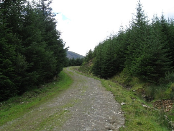 Photo 6"x4" Forest track beneath Beinn a' Bheithir above infant River Duror Beinn a' Bheithir c2008