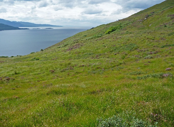 Photo 6"x4" The path to Loch na Dal Kylerhea\/Caol Reatha c2008