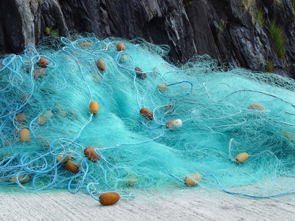 Photo 6"x4" A fishing net in Brandon Creek Feohanagh\/Q3909 c2003