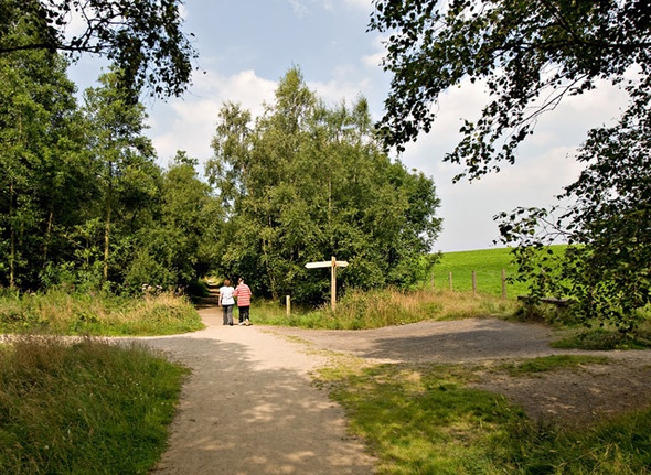 Photo 6"x4" Three Sisters Recreation Area path Abram c2008
