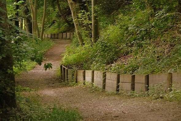 Photo 6"x4" Thames Path in Hartslock Wood Lower Basildon c2008