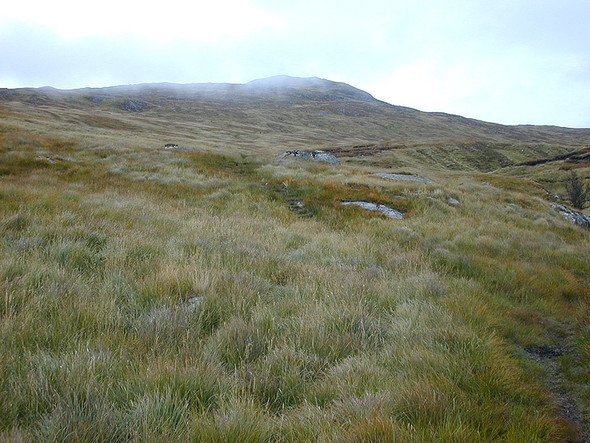 Photo 6"x4" South west slopes of Creag Pitridh Allt Coire Pitridh c2003
