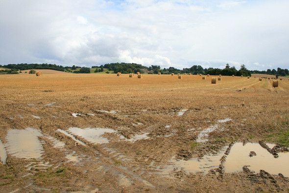Photo 6"x4" Harvested Field Ampthill c2008
