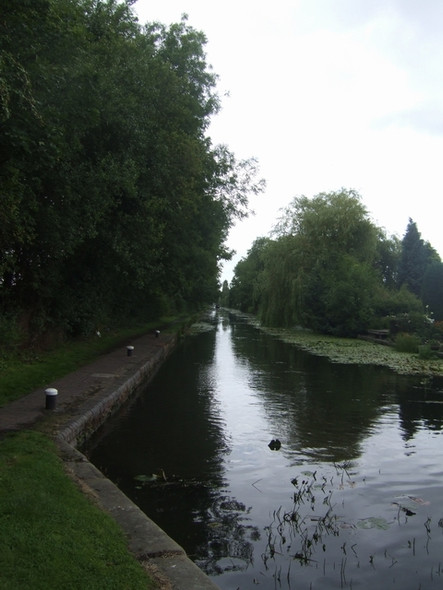 Photo 6"x4" Rushall Canal Walsall c2008