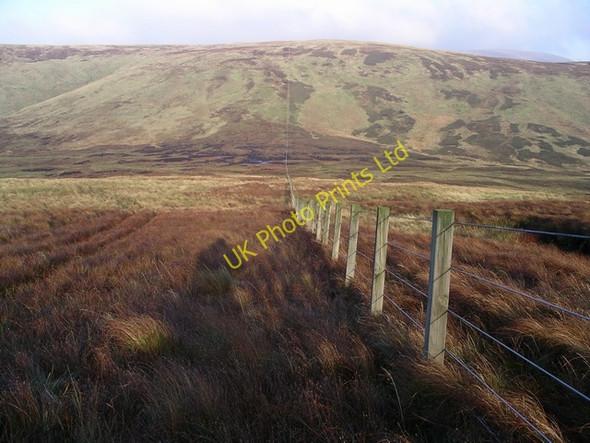 Photo 6"x4" Fence, Hartfell Rig Cape Law c2005