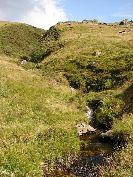 Photo 6"x4" Maesnant flowing down from Pumlumon Fach Bryn y Beddau c2008