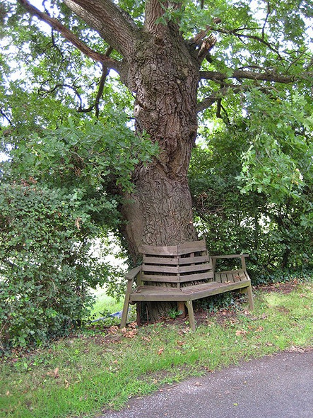 Photo 6"x4" Rickety seat in a country lane Bulley c2008