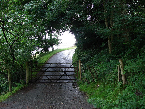 Photo 6"x4" Cattle gate on the lane to Cwmerfyn Cwmerfyn c2008