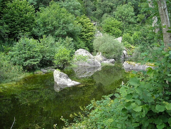 Photo 6"x4" Pool Beside Callander to Strathyre Cycleway Ardchullarie More c2008