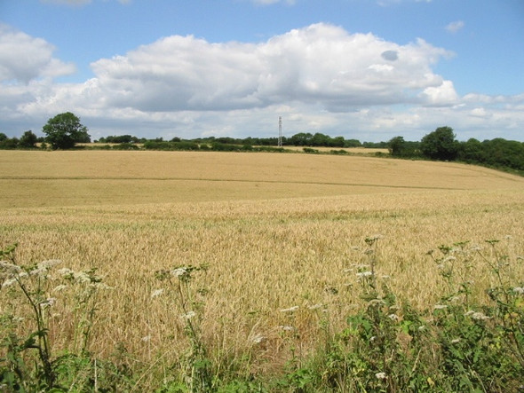 Photo 6"x4" View across the fields from Broadsole Lane West Hougham c2008