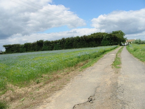 Photo 6"x4" Track off Lowslip Hill to Brickfield Cottage West Hougham c2008