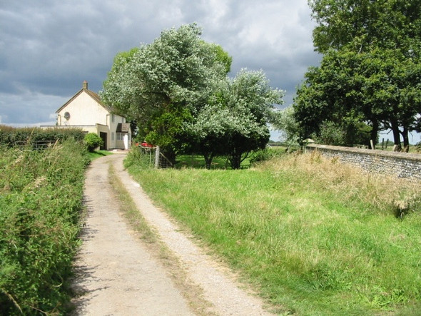 Photo 6"x4" Road from St Mary's church Satmar c2008