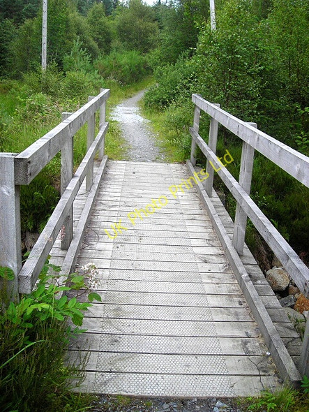 Photo 6"x4" Footbridge in Leanachan Forest Torlundy c2007