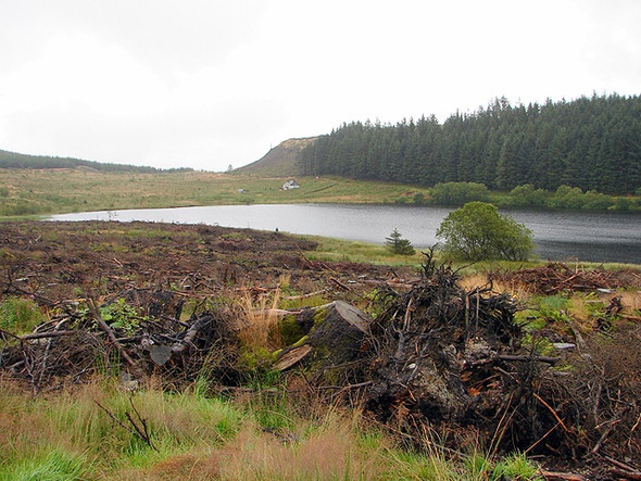 Photo 6"x4" Llyn Blaenmelindwr Cwmsymlog c2008