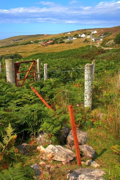 Photo 6"x4" Gate Near Loch Camas an Fh\u00c3\u00a8idh Polbain c2008