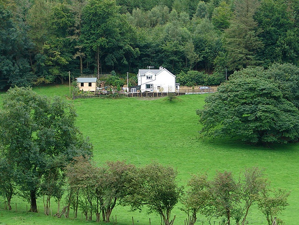 Photo 6"x4" Allt y Gwreiddyn Maes-bangor c2008