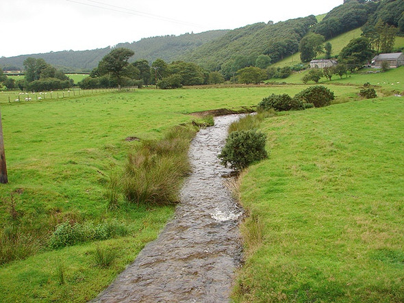 Photo 6"x4" Afon Melindwr Dollwen c2008