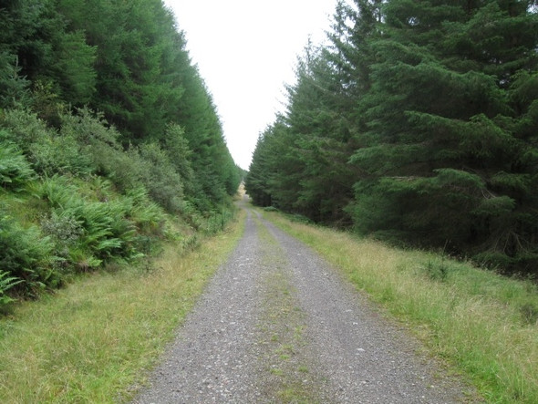 Photo 6"x4" Track from Loch Creran to Ballachulish along Glen Creran, uphill Salachail c2008