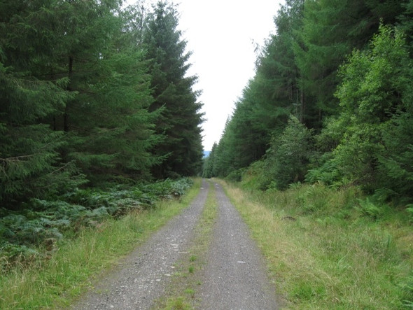 Photo 6"x4" Track from Loch Creran to Ballachulish along Glen Creran, downhill Salachail c2008