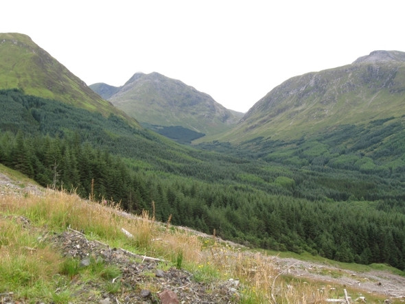 Photo 6"x4" Across cleared forestry to forest edge. Sgor na h-Ulaidh is middle mountain Allt Eilidh c2008