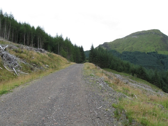 Photo 6"x4" Looking uphill across cleared forestry to forest edge Allt Eilidh c2008