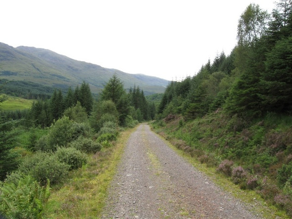 Photo 6"x4" Track down towards Loch Creran, Glen Creran Glen Creran\/NN0550 c2008
