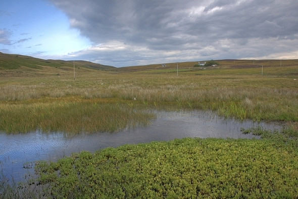 Photo 6"x4" Marshy Loch at Badentarbat Achiltibuie c2008