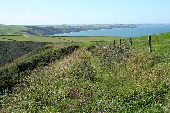 Photo 6"x4" St Teath: towards Port Isaac Tregardock c2008