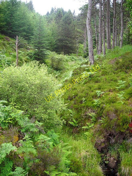 Photo 6"x4" Stream Course on Beinn Bhan Lochaline \/ Loch \u00c0lainn c2007