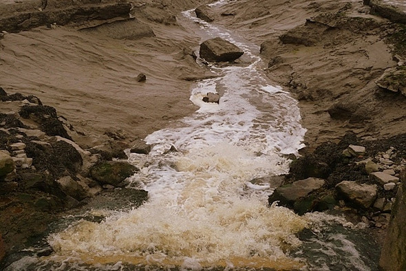 Photo 6"x4" Reaching the sea Redwick\/ST4184 c2008