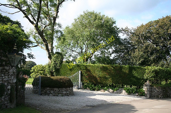 Photo 6"x4" Altarnun: entrance to Carne Manor South Carne c2007
