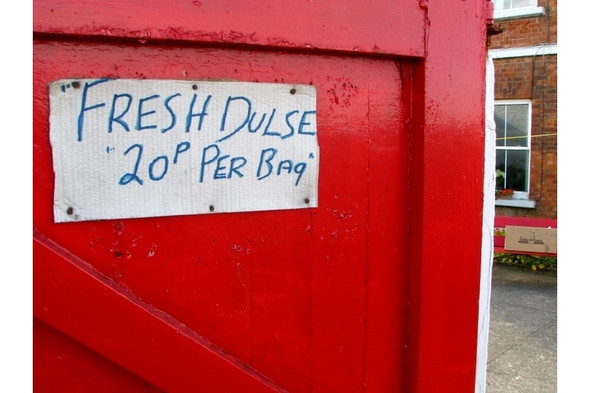 Photo 6"x4" Dulse for sale, Donaghadee Donaghadee c2008