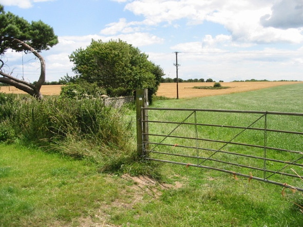 Photo 6"x4" View across fields Satmar c2008