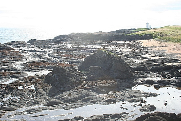 Photo 6"x4" View west from Lady's Tower Earlsferry c2008