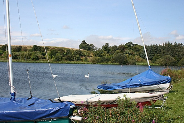 Photo 6"x4" Forfar Loch Forfar c2008