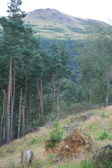 Photo 6"x4" Clearance Line Edale End c2008
