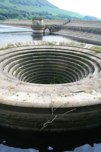 Photo 6"x4" Hanging Branch Ashopton c2008