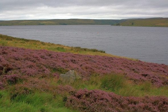 Photo 6"x4" Grimwith Fell Skyreholme c2008
