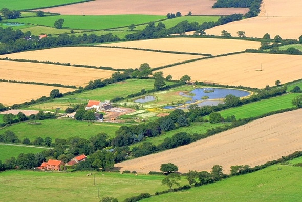 Photo 6"x4" Meeks Farm Carlton in Cleveland c2008