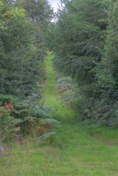Photo 6"x4" Public Bridleway to Harland Beck Farm Lowna c2008