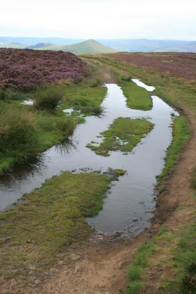 Photo 6"x4" Path on Thornhill Brink Ashopton c2008