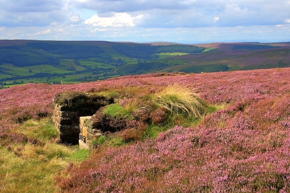 Photo 6"x4" Shooting Butt, Urra Moor Urra c2008