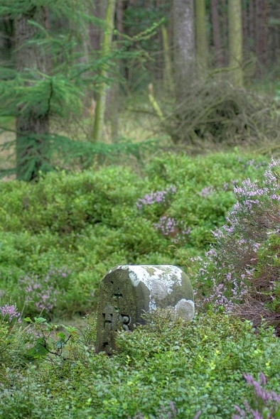 Photo 6"x4" Boundary Stone, Easby Moor Kildale c2008