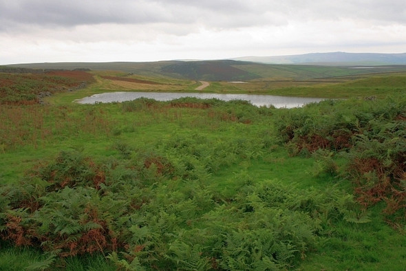 Photo 6"x4" Yarnbury Reservoir Grassington c2008