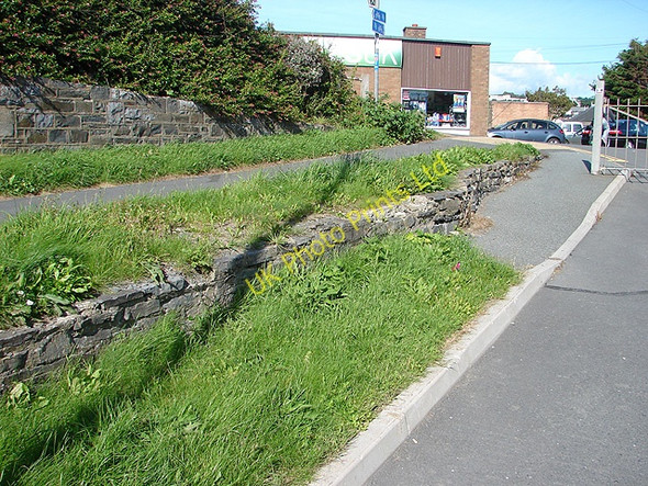 Photo 6"x4" Vale of Rheidol Railway Embankment Aberystwyth c2007