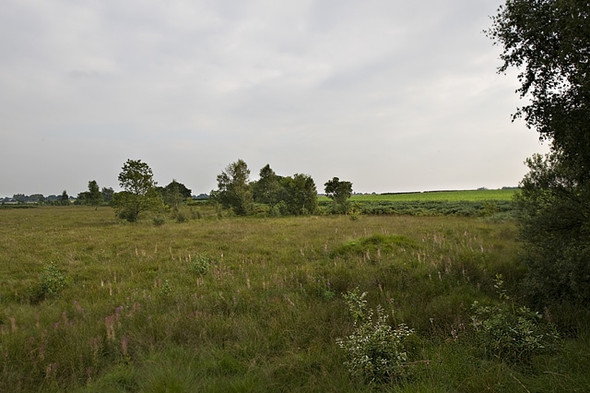 Photo 6"x4" Highfield Moss SSSI Golborne c2008